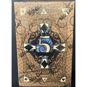 2025 Wild Card 5 Card Draw Pro Look Edition Football Hobby Box